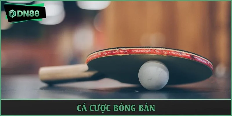 cá cược bóng bàn