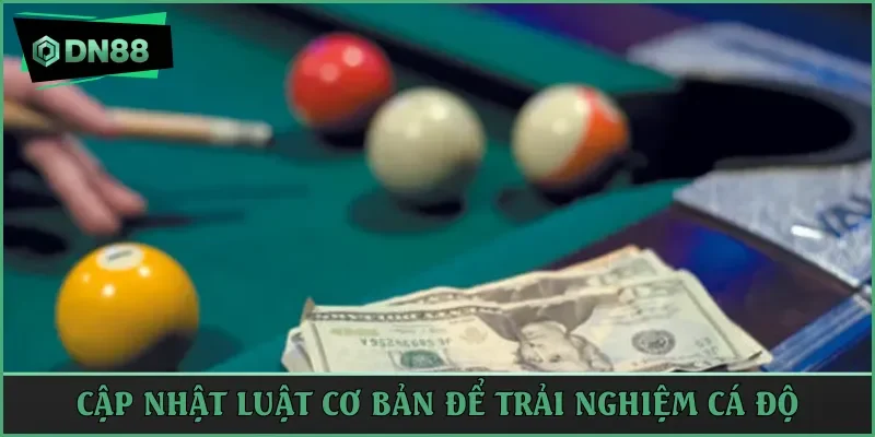 Cập nhật luật cơ bản để trải nghiệm cá độ