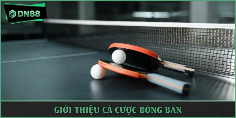 Giải mã cá cược bóng bàn
